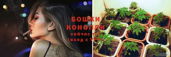 ПСИЛОЦИБИНОВЫЕ ГРИБЫ Осинники