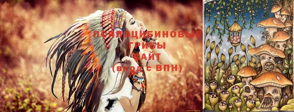ПСИЛОЦИБИНОВЫЕ ГРИБЫ Осинники