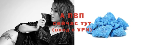 ПСИЛОЦИБИНОВЫЕ ГРИБЫ Осинники