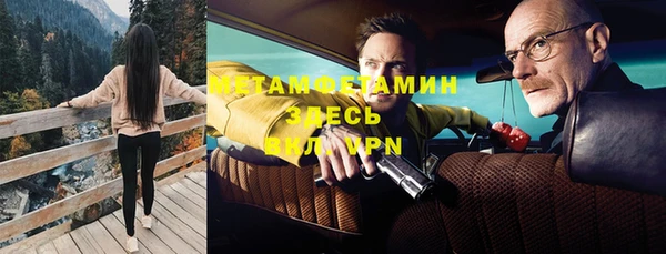 ПСИЛОЦИБИНОВЫЕ ГРИБЫ Осинники