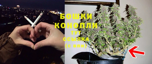 ПСИЛОЦИБИНОВЫЕ ГРИБЫ Осинники