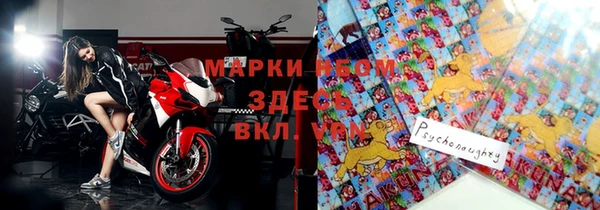 ПСИЛОЦИБИНОВЫЕ ГРИБЫ Осинники