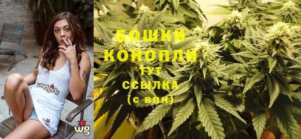 ПСИЛОЦИБИНОВЫЕ ГРИБЫ Осинники